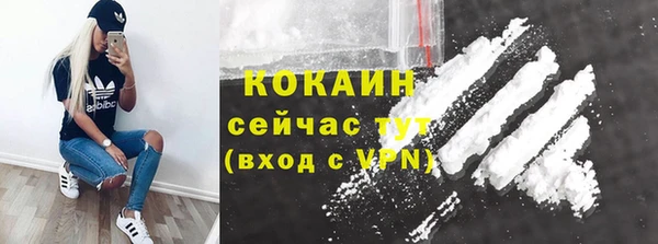 мет Бородино
