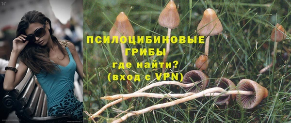 мет Бородино