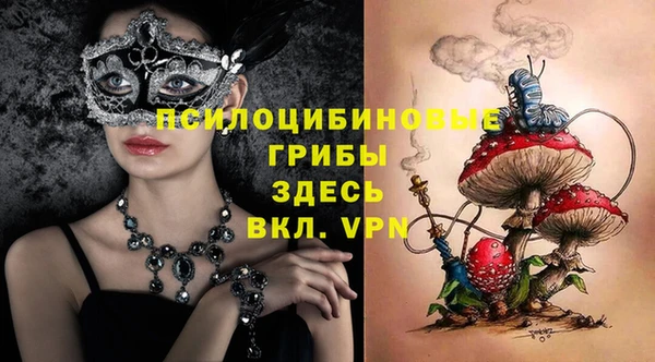 мет Бородино