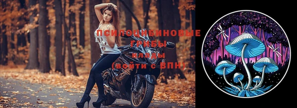 PSILOCYBIN Бронницы