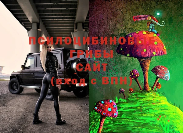 PSILOCYBIN Бронницы