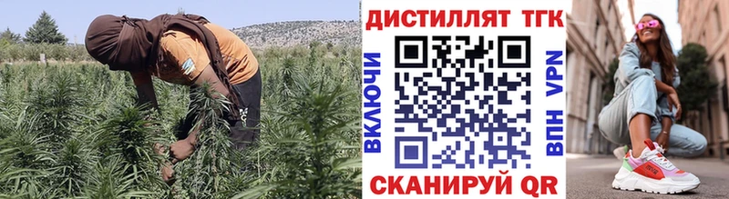 ТГК концентрат Гай