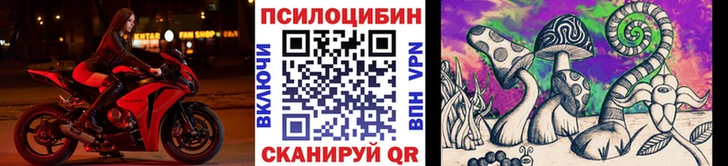 Галлюциногенные грибы GOLDEN TEACHER  где купить наркоту  Гай 