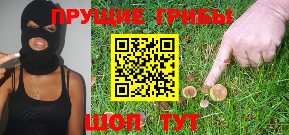 Галлюциногенные грибы GOLDEN TEACHER Гай