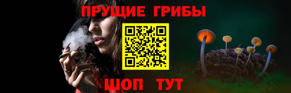 Псилоцибиновые грибы MAGIC MUSHROOMS  где купить наркоту  Гай  Вход с VPN 